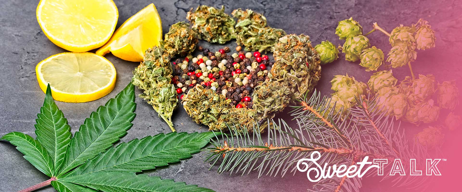 terpenes